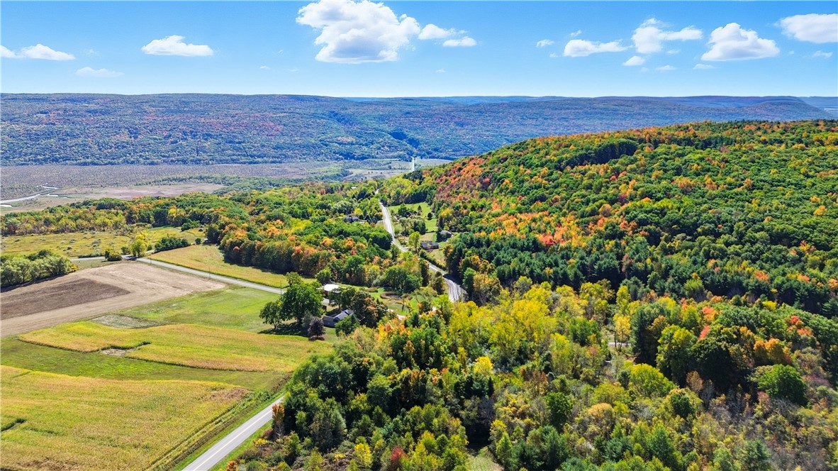 6650 Seman Road Naples, NY 14512 - Photo 12 of 48