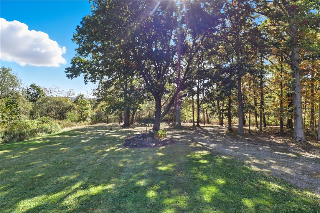 6650 Seman Road Naples, NY 14512 - Photo 41 of 48 Front yard is dotted with hardwoods such as oak an