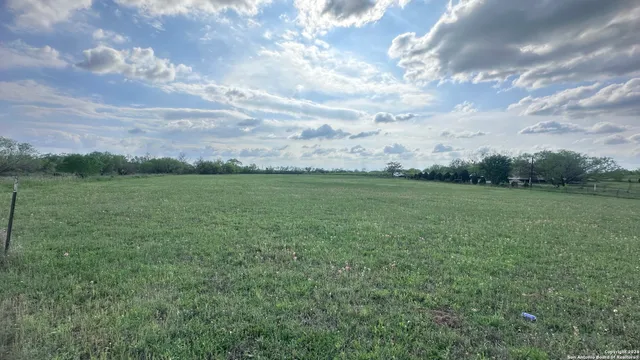 a view of a field with an trees in the background