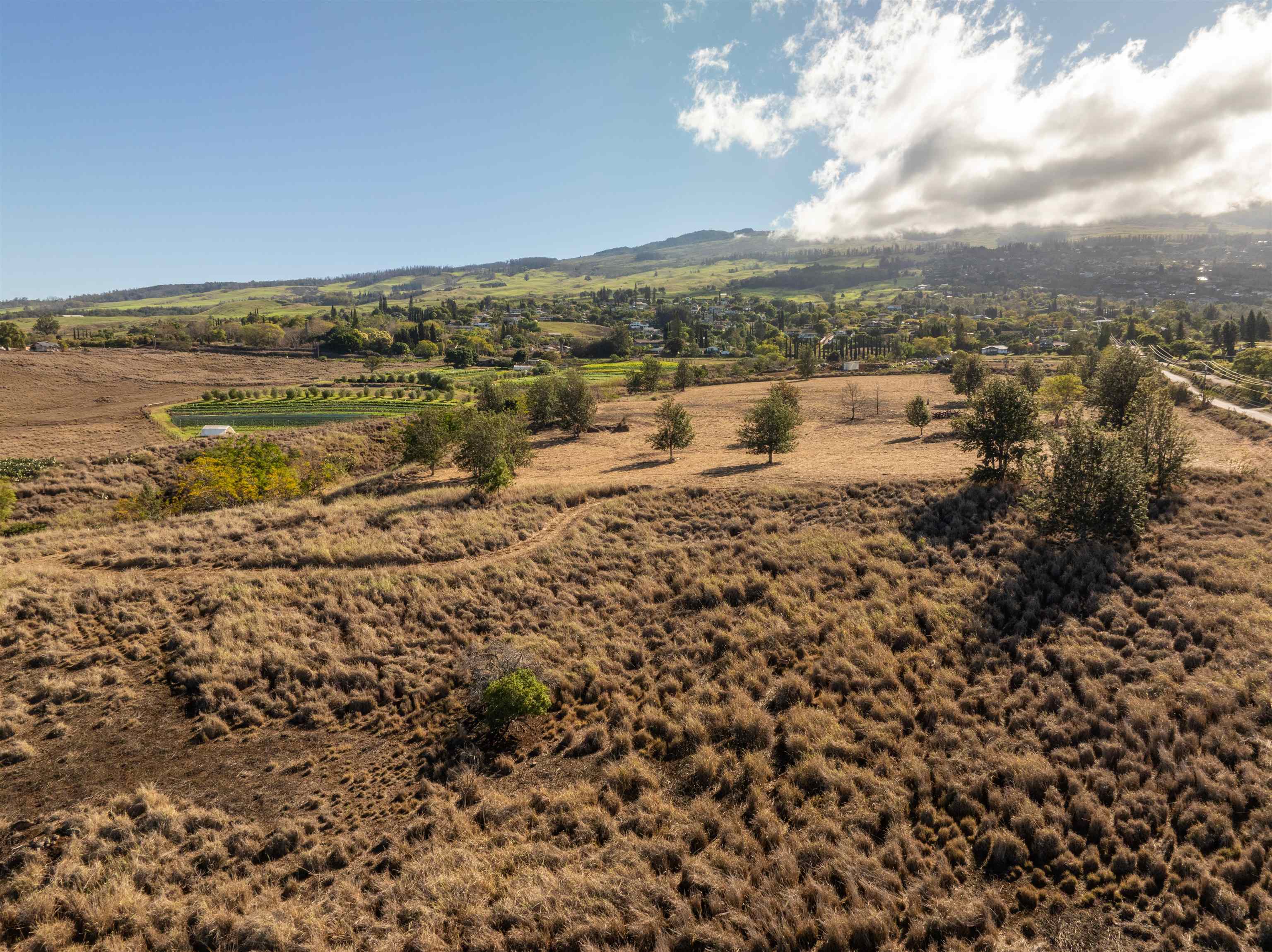 0 Naele Road Kula, HI 96790 - Photo 8 of 40 Gallery Image 8