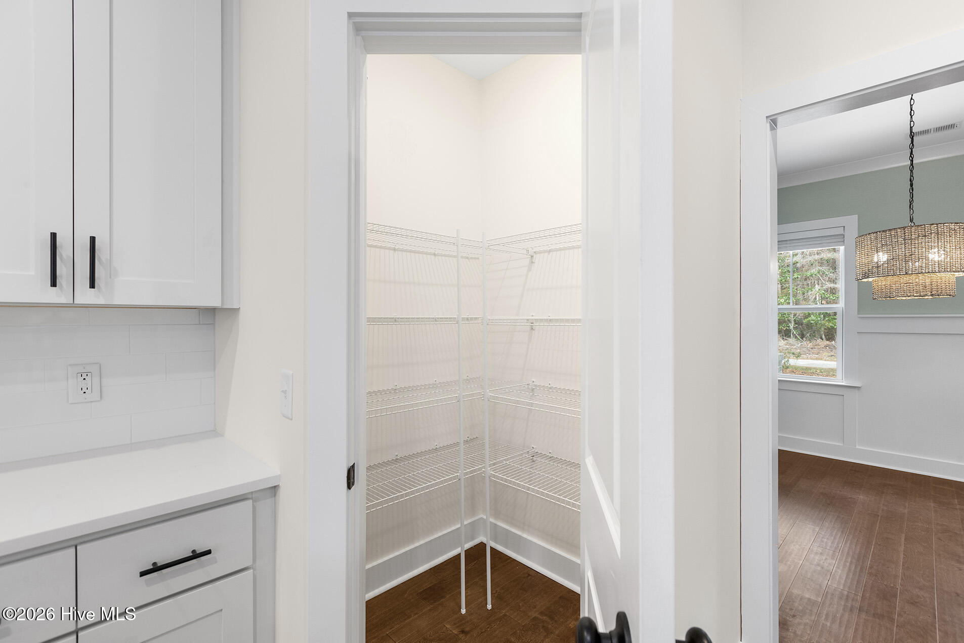 6132 Bailey Buck Road Wilmington, NC 28409 - Photo 20 of 49 Walk-In Pantry