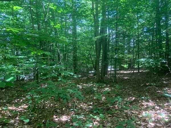 0 Lion Hill Road Otis, MA 01253 - Photo 11 of 18