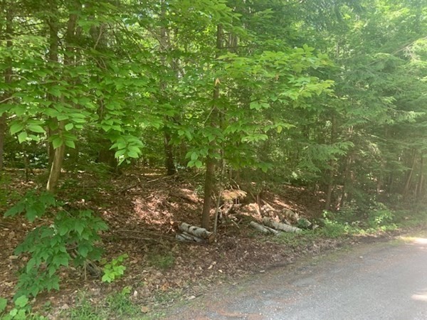0 Lion Hill Road Otis, MA 01253 - Photo 13 of 18