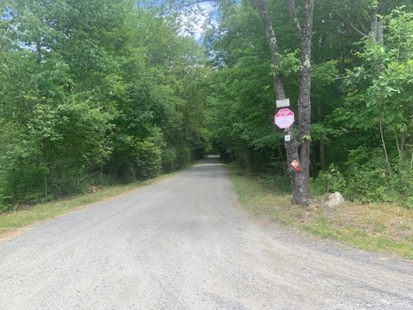 0 Lion Hill Road Otis, MA 01253 - Photo 16 of 18