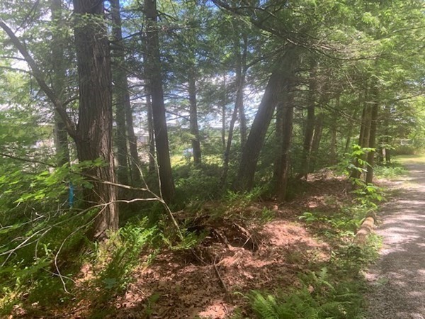 0 Lion Hill Road Otis, MA 01253 - Photo 6 of 18