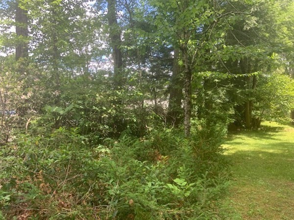 0 Lion Hill Road Otis, MA 01253 - Photo 7 of 18