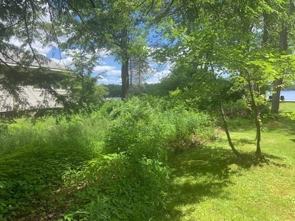 0 Lion Hill Road Otis, MA 01253 - Photo 9 of 18