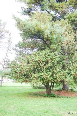 $164,900 | 34 West Main Street, Hamilton, NY 13332