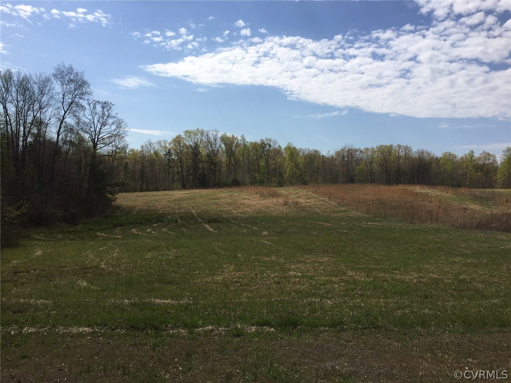15316 Tower Road Beaverdam, VA 23015 - Photo 7 of 9