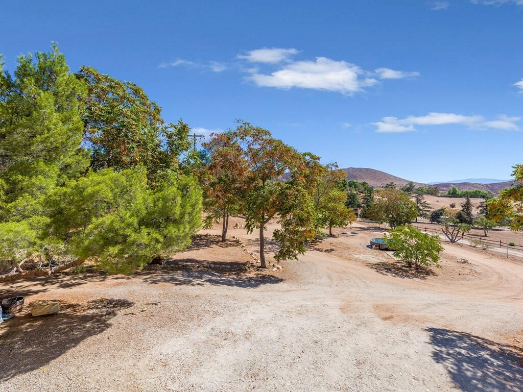 35269 Red Rover Mine Road Acton, CA 93510 - Photo 17 of 19 a row of palm trees and a yard