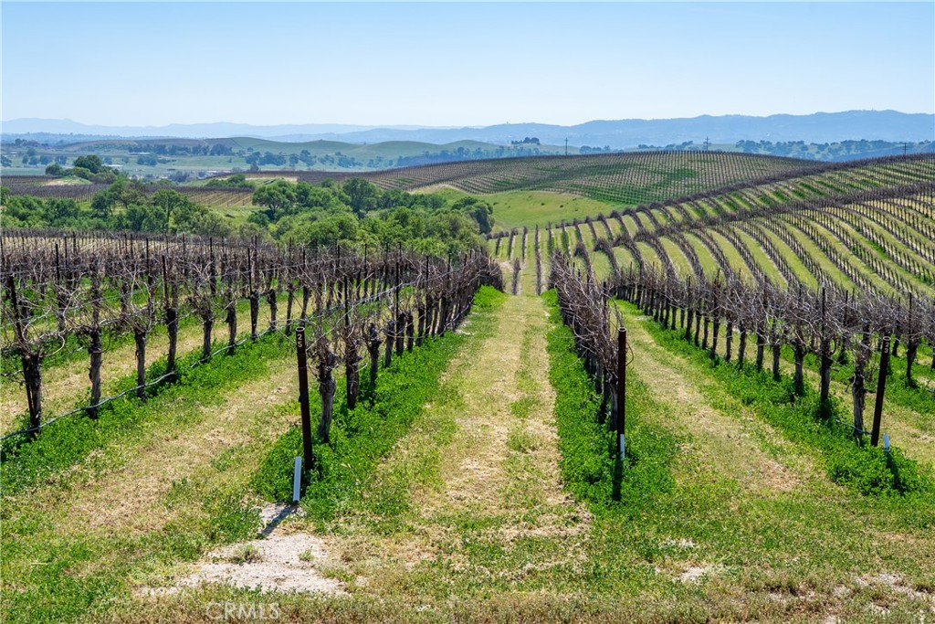 7310 Estrella Road San Miguel, CA 93451 - Photo 26 of 50