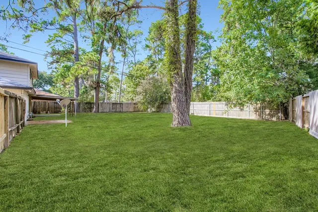 a view of a yard with a tree