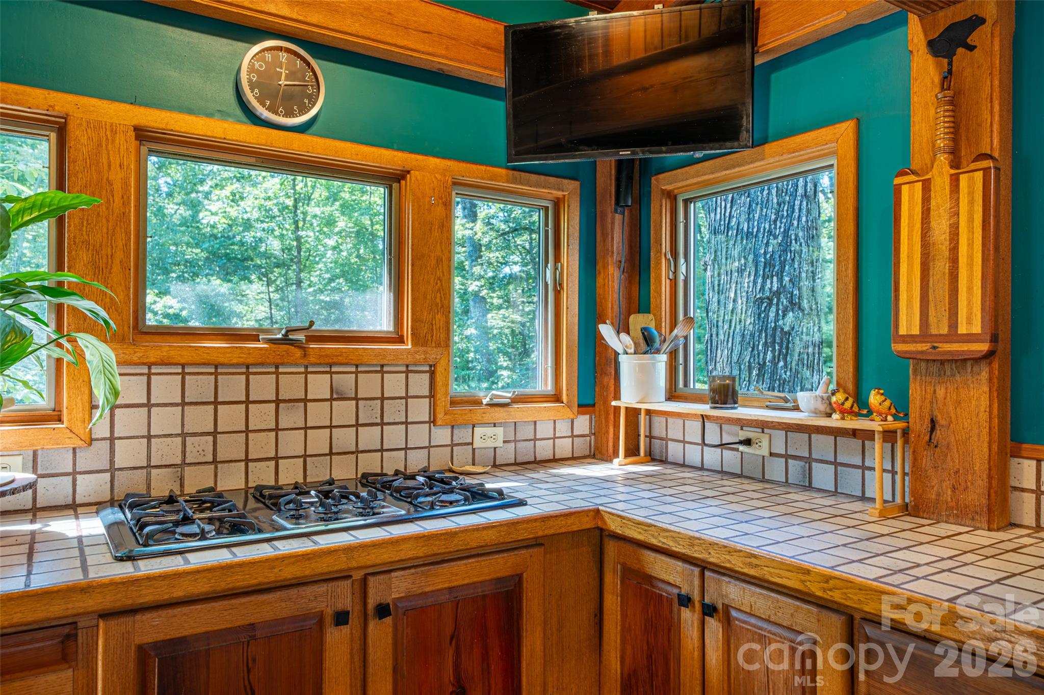 688 Blueberry Farm Road Zirconia, NC 28790 - Photo 14 of 48 Gallery Image 14
