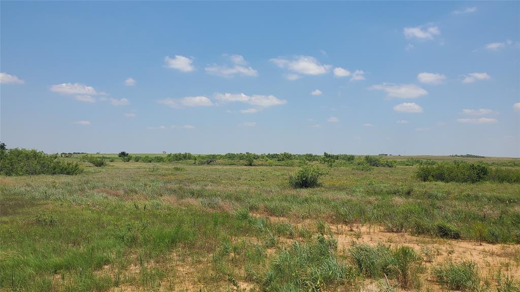 0 Campbell Bellevue, TX 76228 - Photo 4 of 9 a view of outdoor space and yard