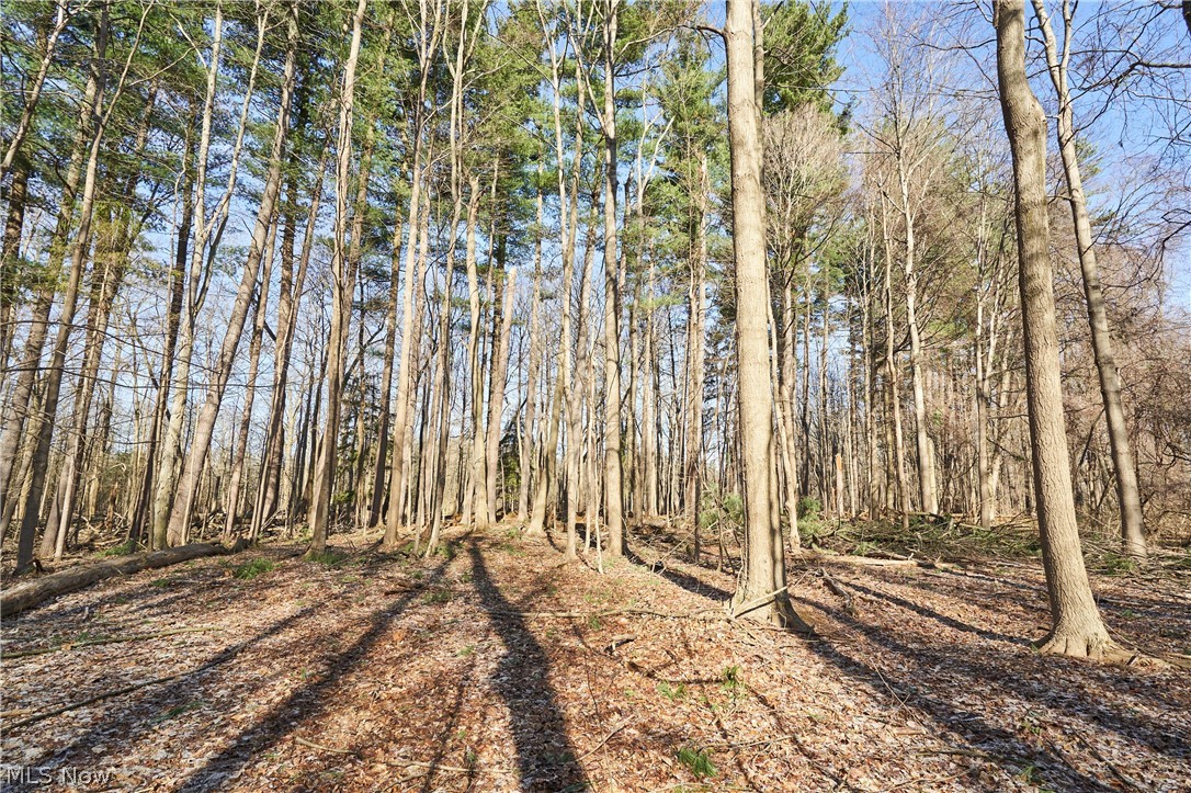 V/l 20-ac Ridgewood Road Akron, OH 44333 - Photo 4 of 16