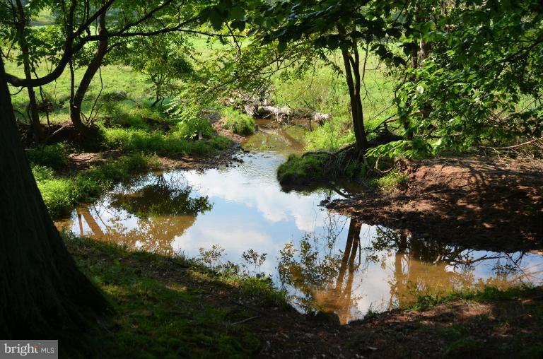 9724 Hansonville Road Frederick, MD 21702 - Photo 14 of 27 View Future swimming hole