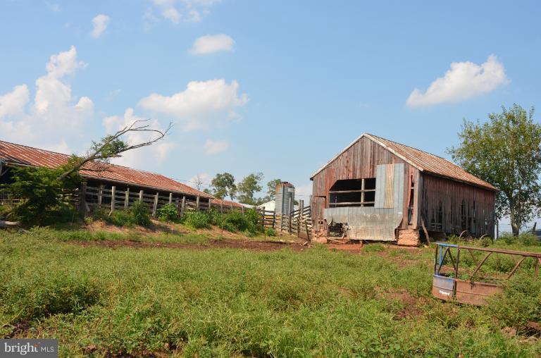 9724 Hansonville Road Frederick, MD 21702 - Photo 18 of 27 Barns