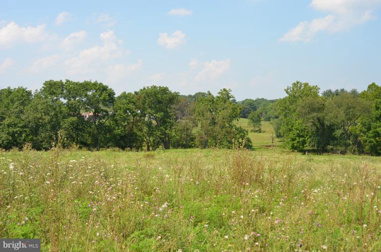 9724 Hansonville Road Frederick, MD 21702 - Photo 9 of 27 View