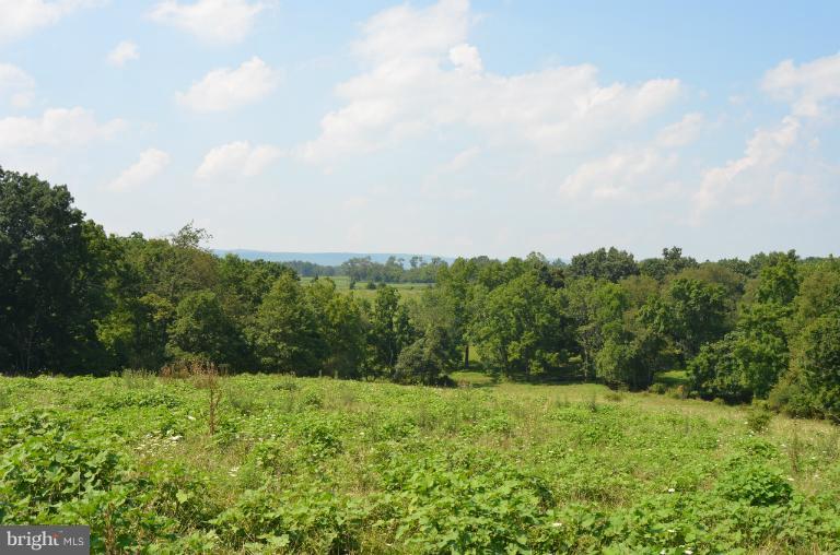9724 Hansonville Road Frederick, MD 21702 - Photo 10 of 27 View looking North