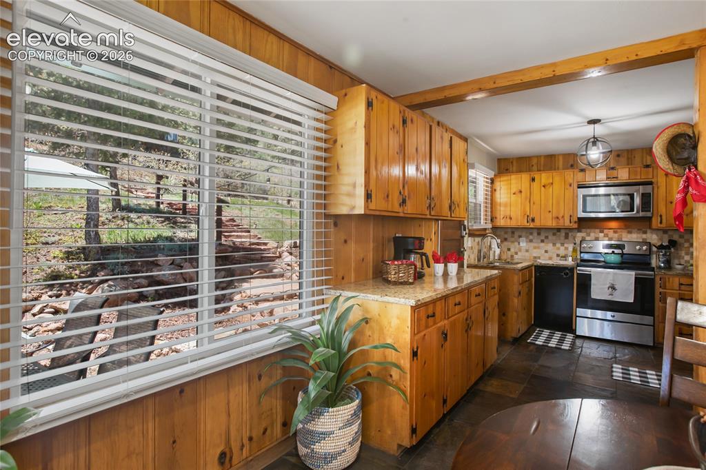 9850 Mohawk Trail Cascade, CO 80809 - Photo 19 of 49
