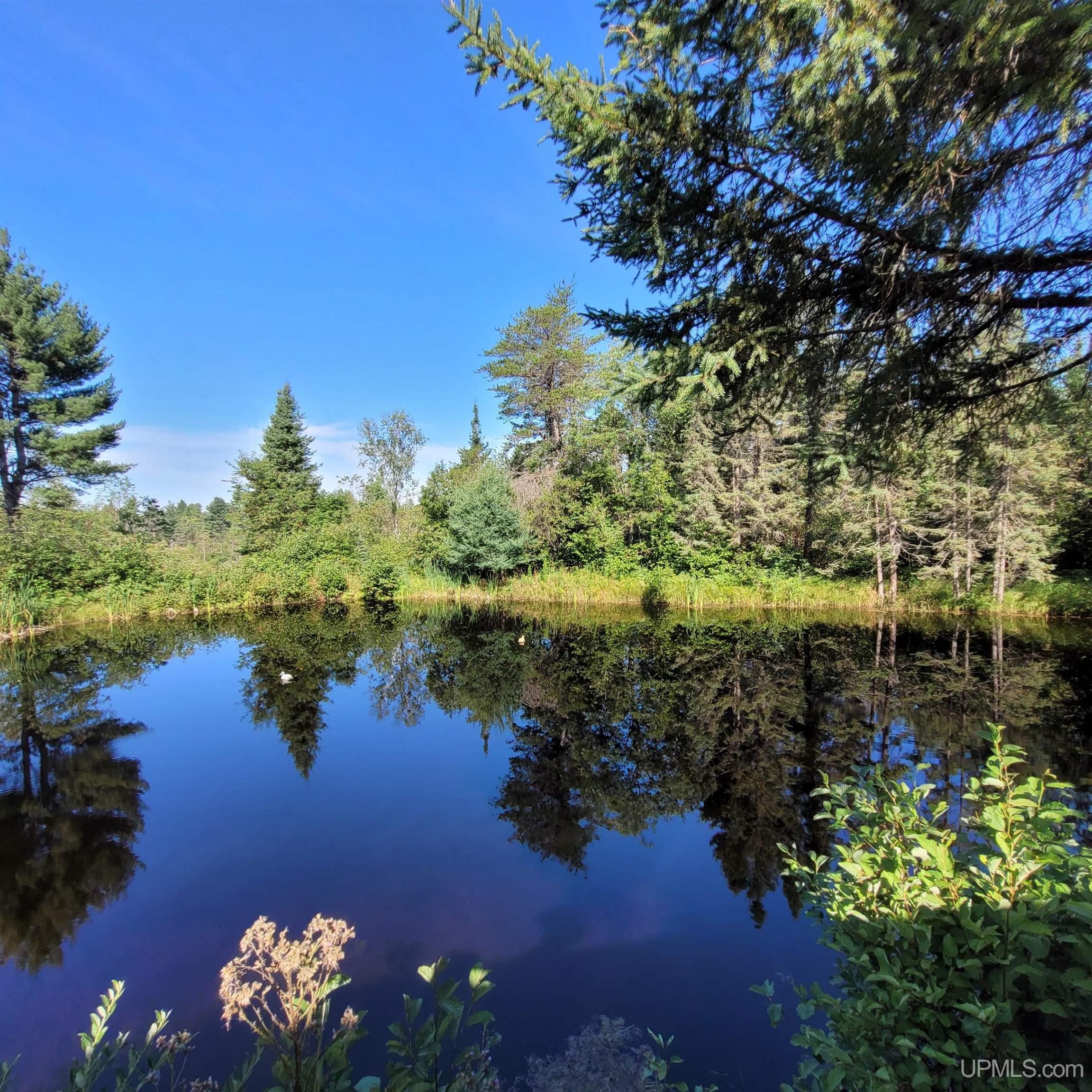 76 Acres Road Gwinn, MI 49841 - Photo 42 of 64