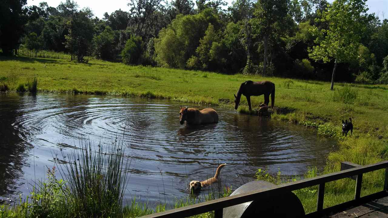 699 Vista Road Monticello, FL 32344 - Photo 9 of 36 Gallery Image 9