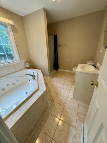 a bathroom with a bathtub and a toilet