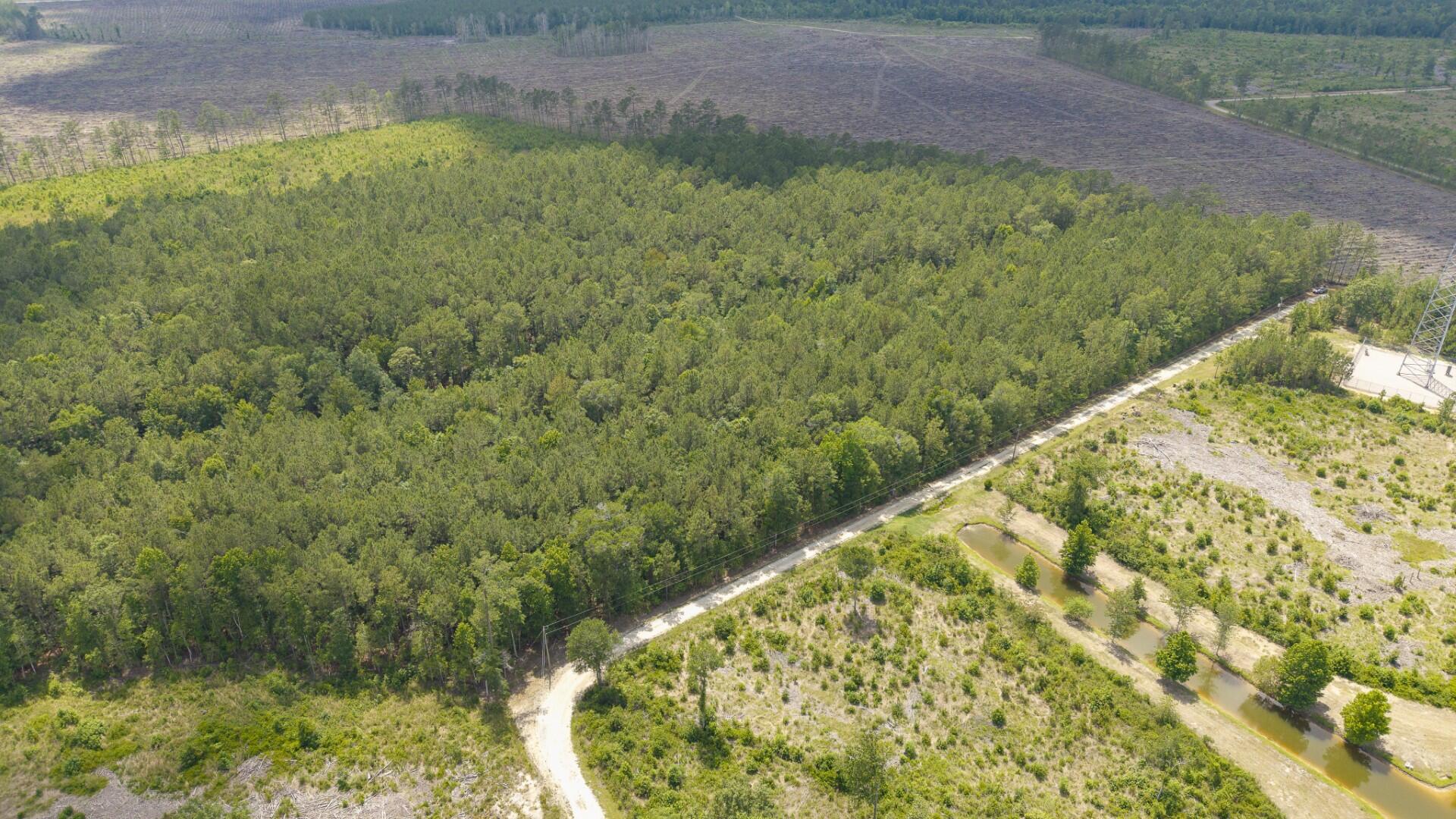 6222 Saints Delight Road, Unit LOT 8 Georgetown, SC 29440 - Photo 6 of 26