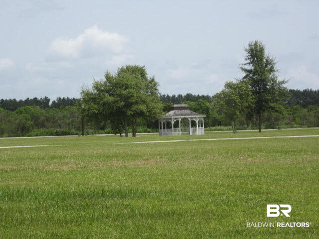 1129 Yellow Daisy Lane Foley, AL 36535 - Photo 25 of 26
