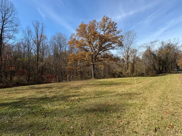 a view of a field with trees in the background