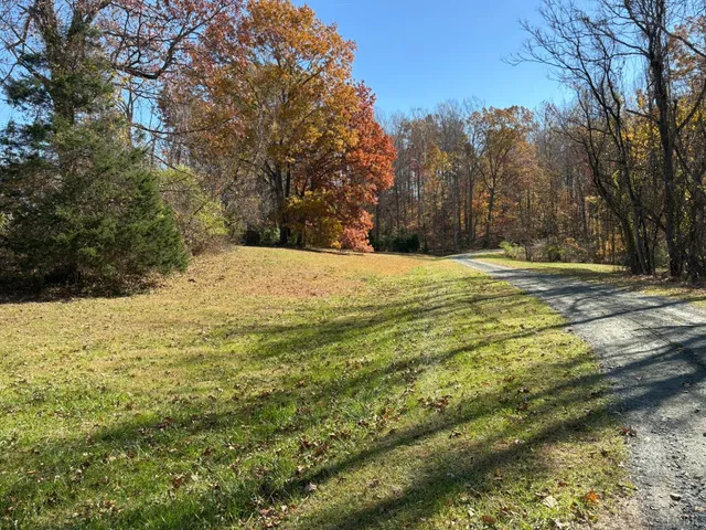 a view of a yard with an trees