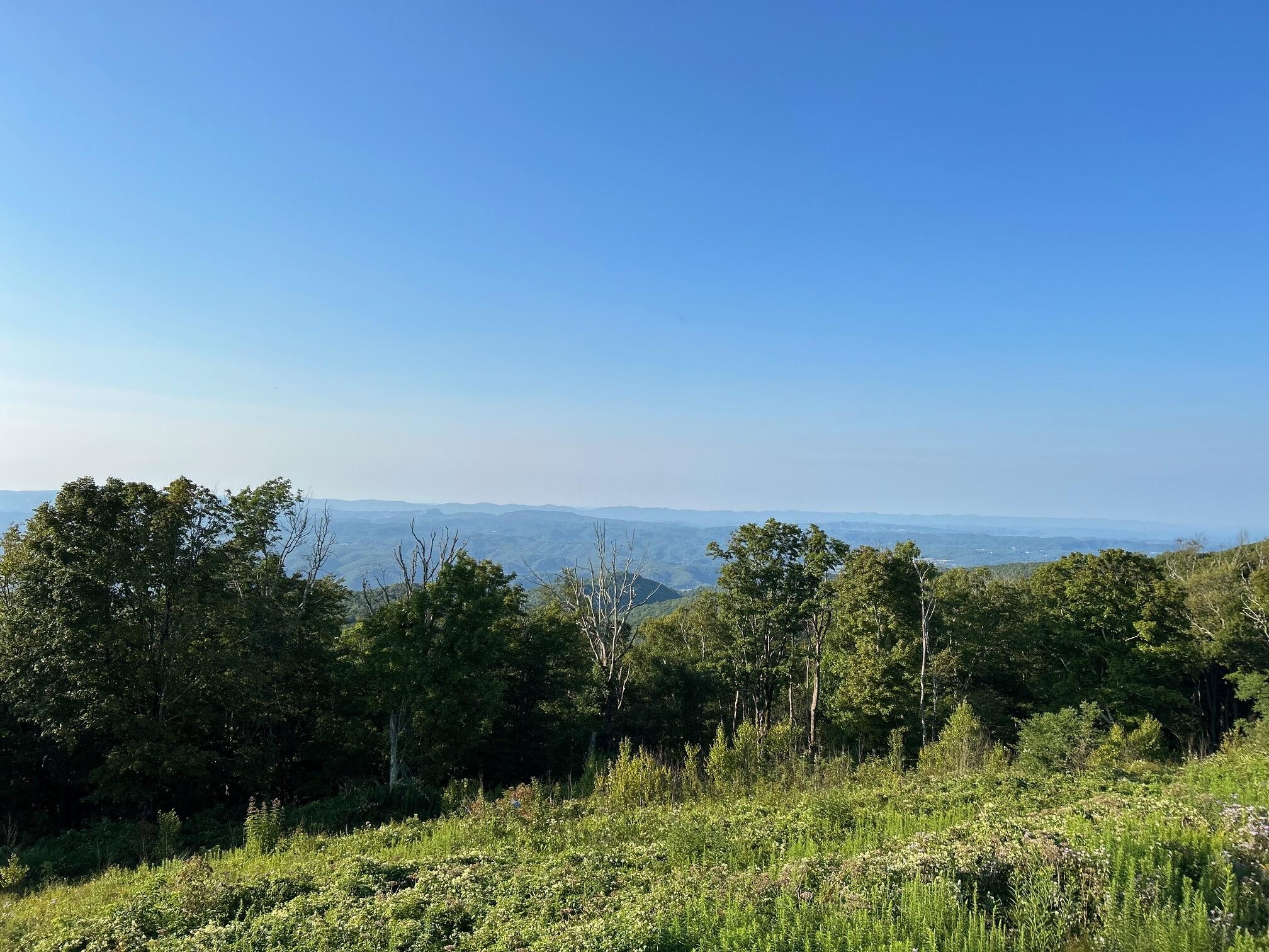 2 Co Road Calhoun, TN 37309 - Photo 1 of 1 Gallery Image 1
