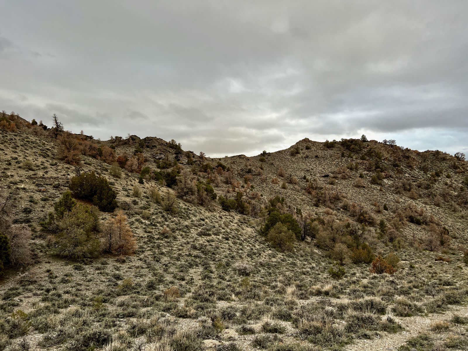 Na Ridge Montello, NV 89830 - Photo 6 of 25