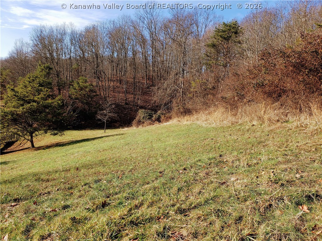 4931 Eckard Chapel Road Point Pleasant, WV 25550 - Photo 12 of 16 Gallery Image 12