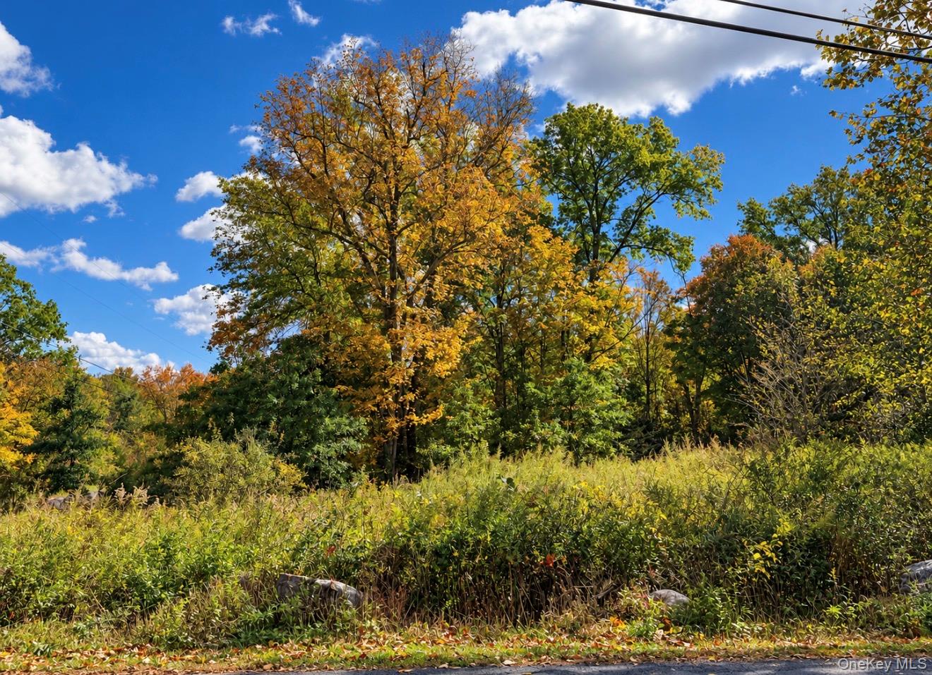 Rutsonville Road Wallkill, NY 12589 - Photo 3 of 4 Gallery Image 3