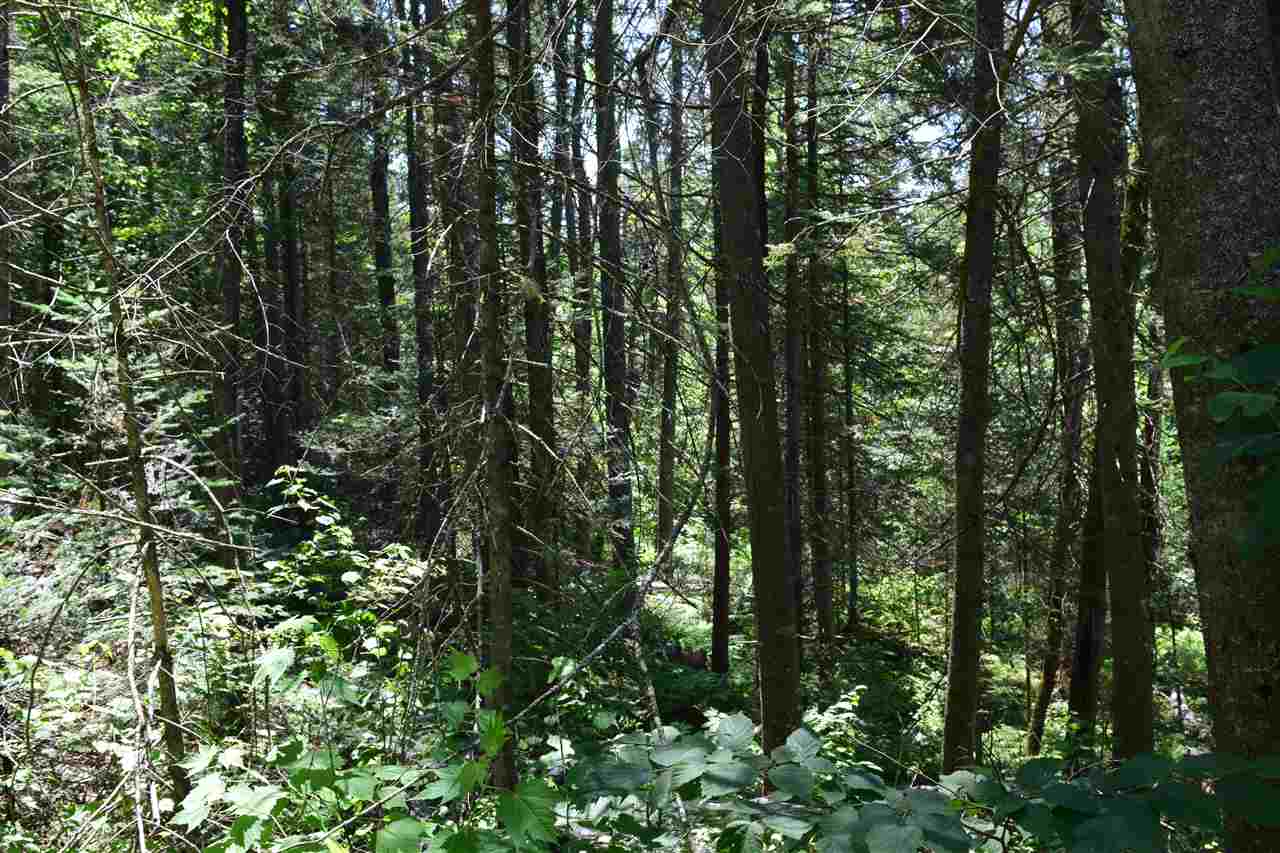 Moose Trail Road, Unit 161 Bethlehem, NH 03574 - Photo 1 of 8 Gallery Image 1