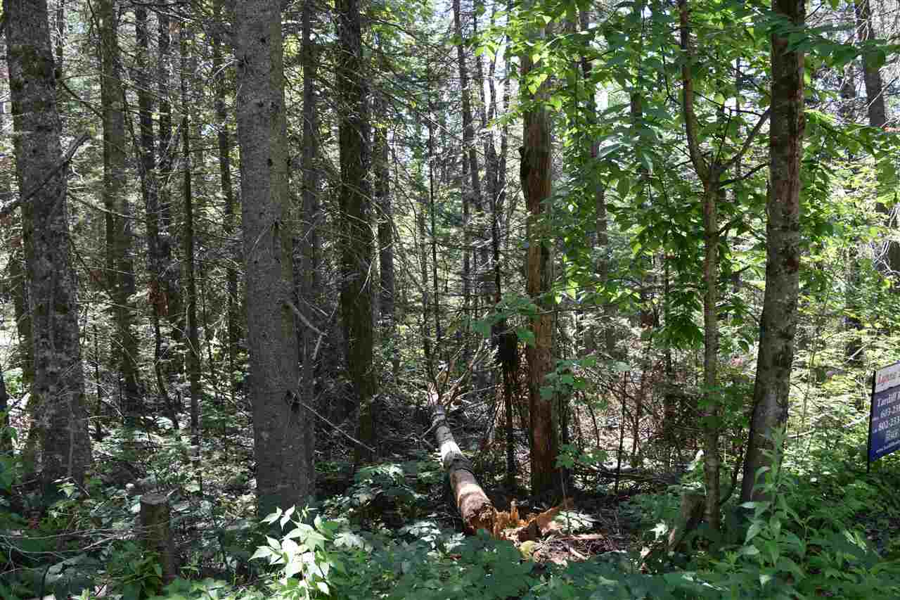 Moose Trail Road, Unit 161 Bethlehem, NH 03574 - Photo 3 of 8 Gallery Image 3
