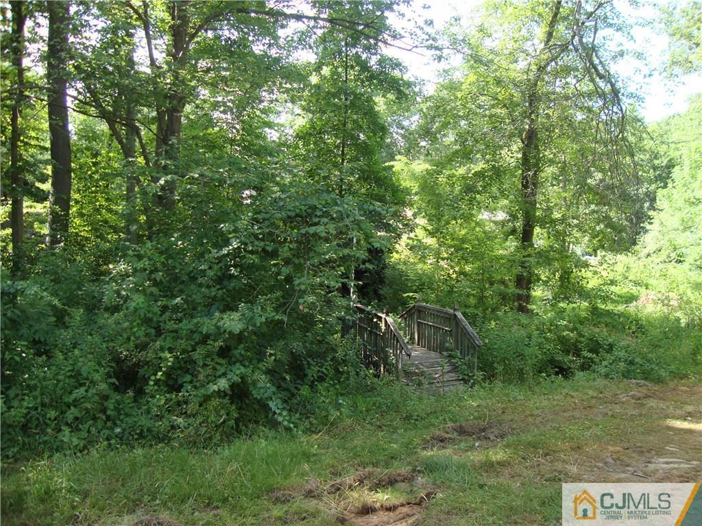 231 Davidson's Mill Road North Brunswick, NJ 08902 - Photo 17 of 17 a view of a forest with a street