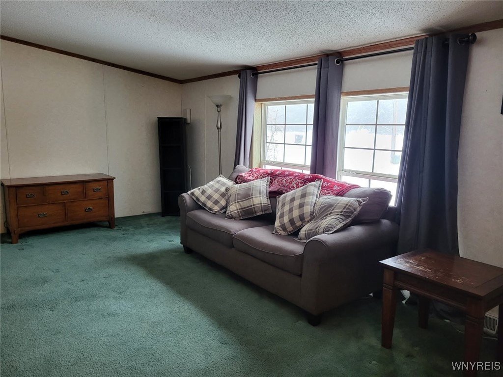 7140 Maples Road Mansfield, NY 14755 - Photo 6 of 14