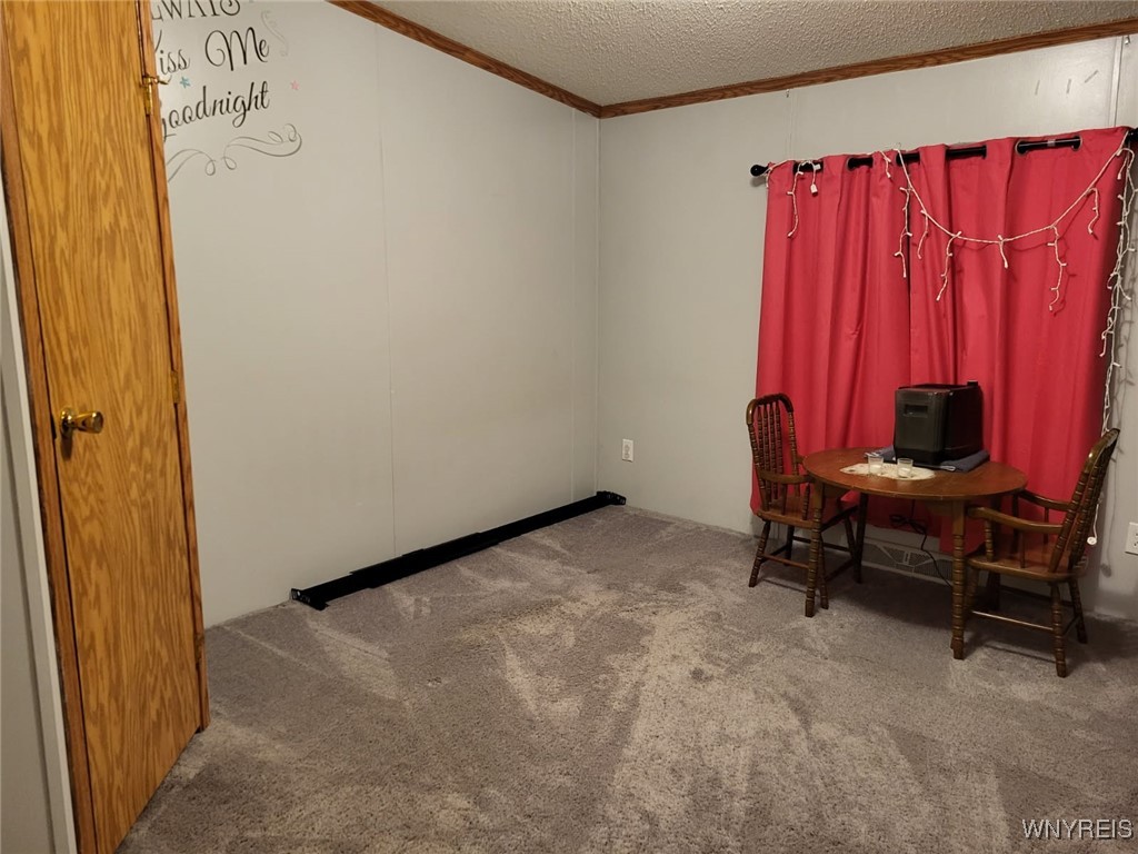 7140 Maples Road Mansfield, NY 14755 - Photo 10 of 14