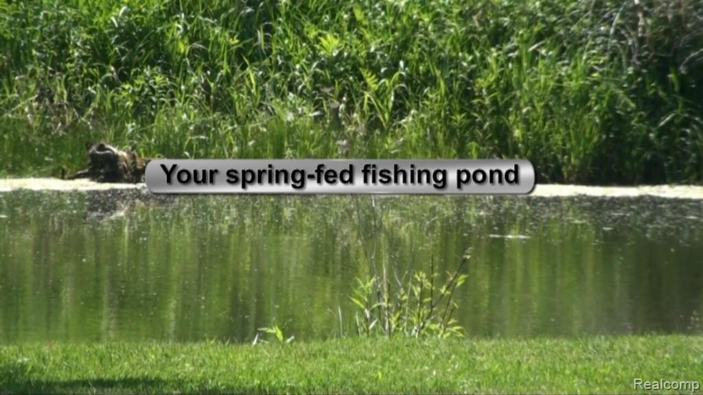 2136 Granger Road Oxford, MI 48371 - Photo 3 of 95 pond.jpg