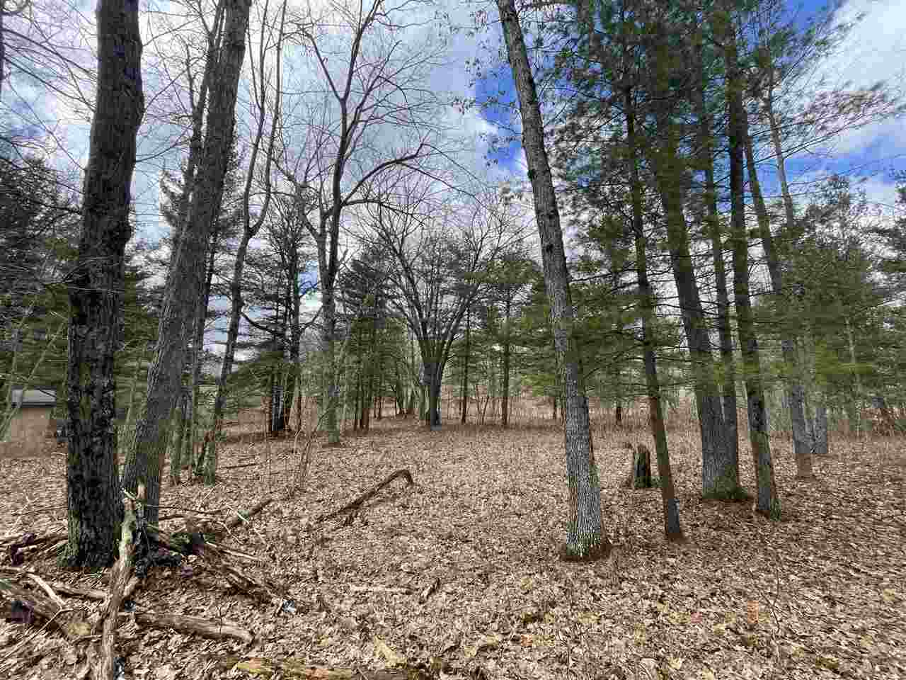 20 East A E Decker Rd Branch Branch, MI 49402 - Photo 16 of 31