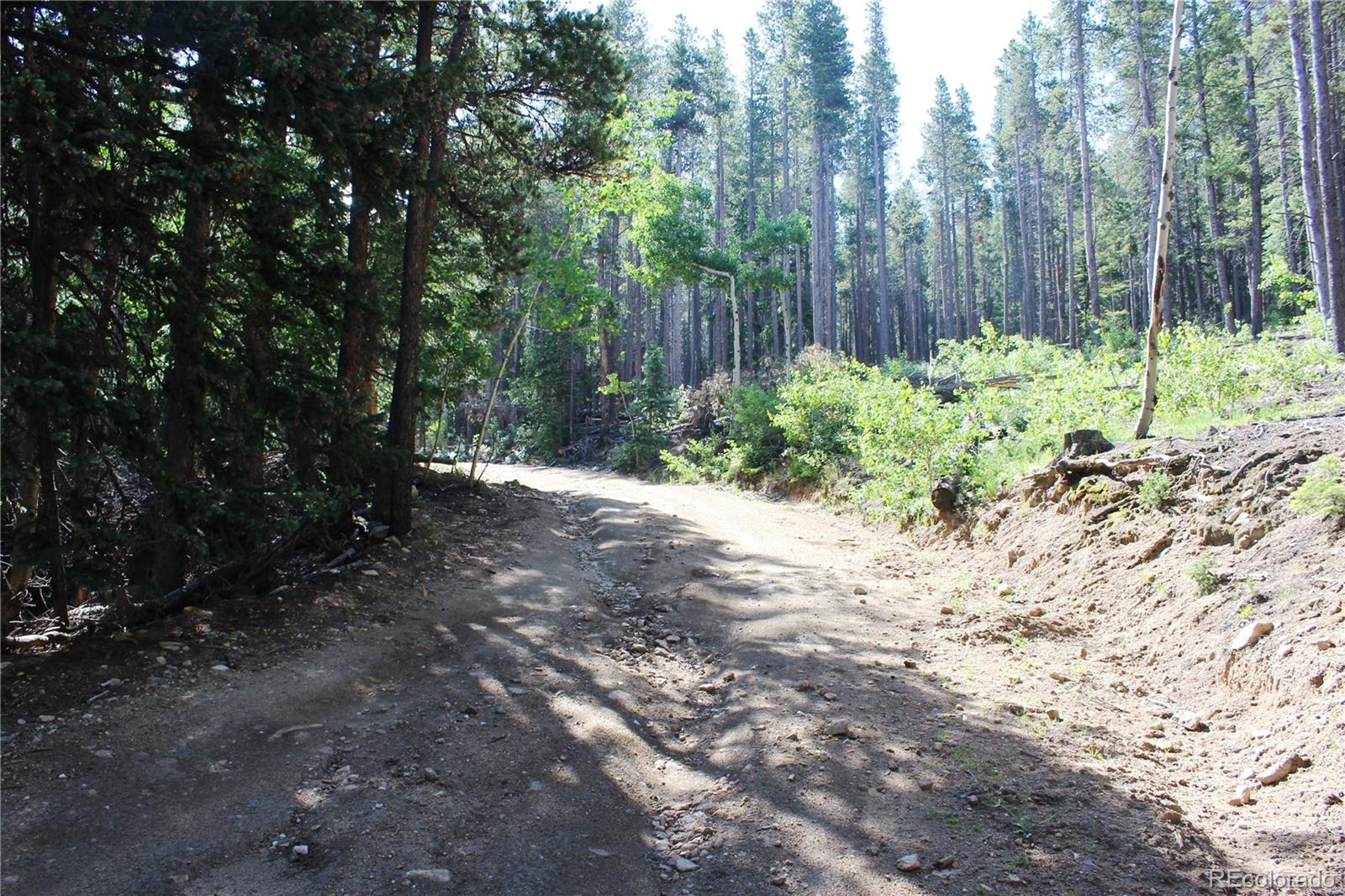 Lot 31 Sunflower Road Black Hawk, CO 80422 - Photo 3 of 14 Gallery Image 3