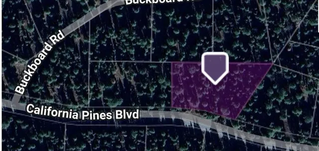 a view of a chairs and table in a backyard