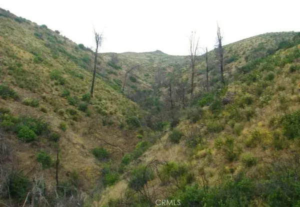 a view of a mountain