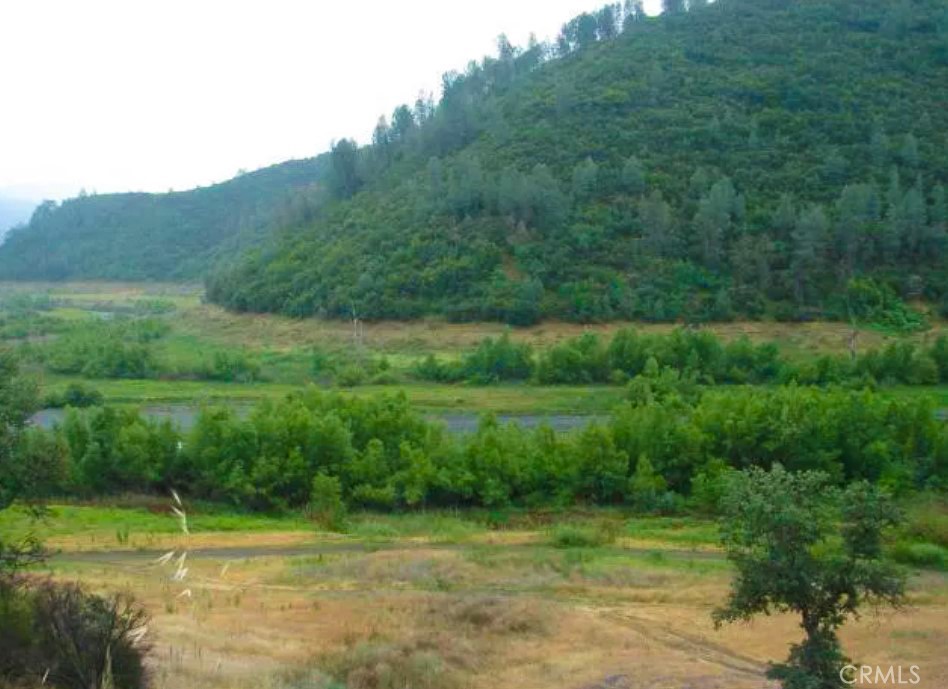 18524 Bartlett Springs Road Stonyford, CA 95979 - Photo 3 of 7 a view of a field with a park