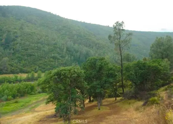 a view of a forest with a mountain