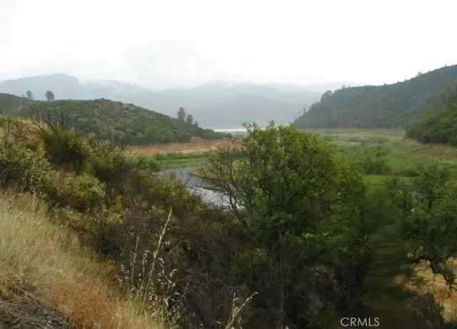 a view of a lake in middle of the forest