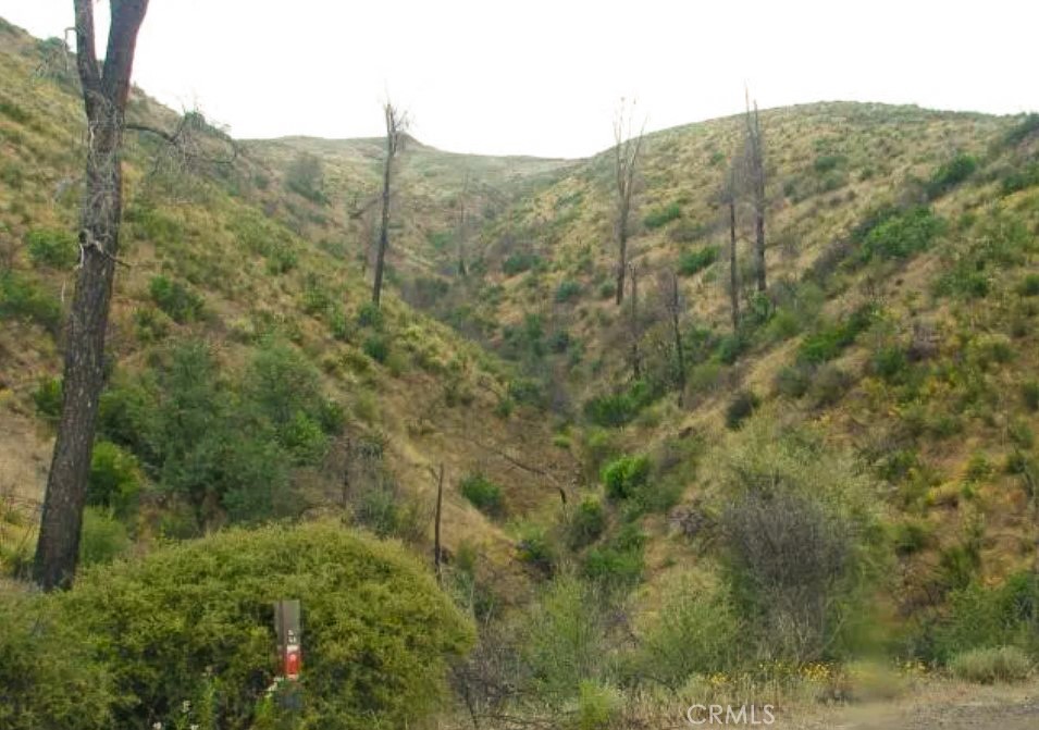 18524 Bartlett Springs Road Stonyford, CA 95979 - Photo 6 of 7 a view of a forest