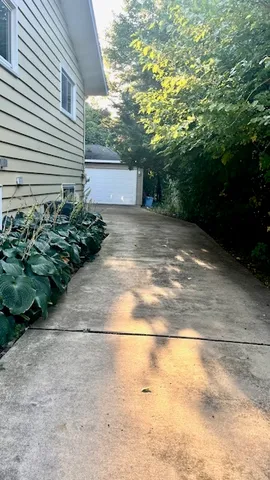 a view of a yard with plants and trees